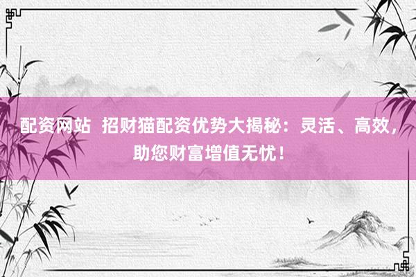配资网站  招财猫配资优势大揭秘：灵活、高效，助您财富增值无忧！