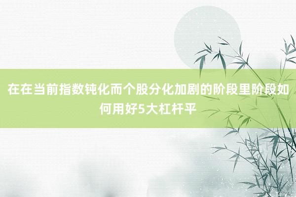 在在当前指数钝化而个股分化加剧的阶段里阶段如何用好5大杠杆平