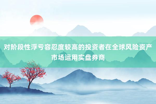 对阶段性浮亏容忍度较高的投资者在全球风险资产市场运用实盘券商
