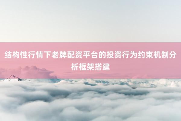 结构性行情下老牌配资平台的投资行为约束机制分析框架搭建