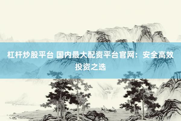杠杆炒股平台 国内最大配资平台官网：安全高效投资之选